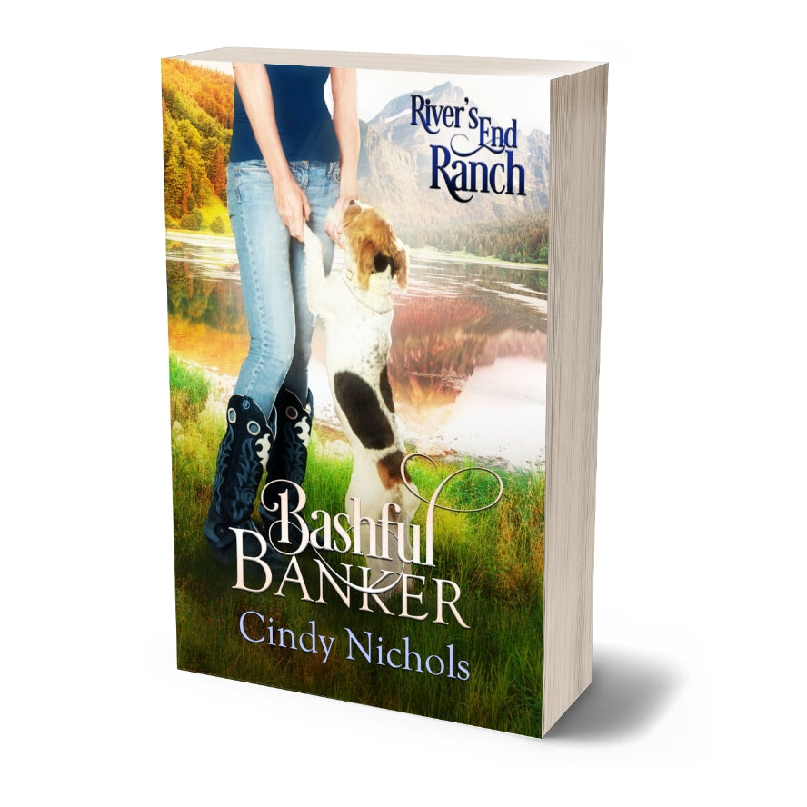 Bashful Banker, Book 6 (PAPERBACK)