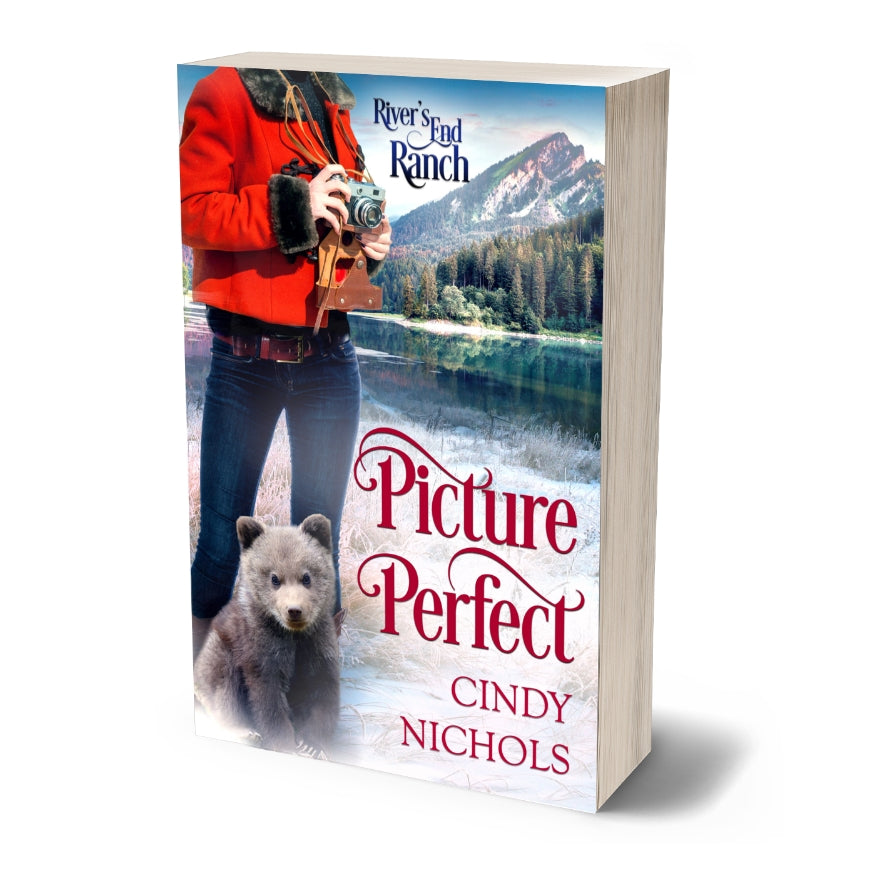 Picture Perfect, Book 8 (PAPERBACK)