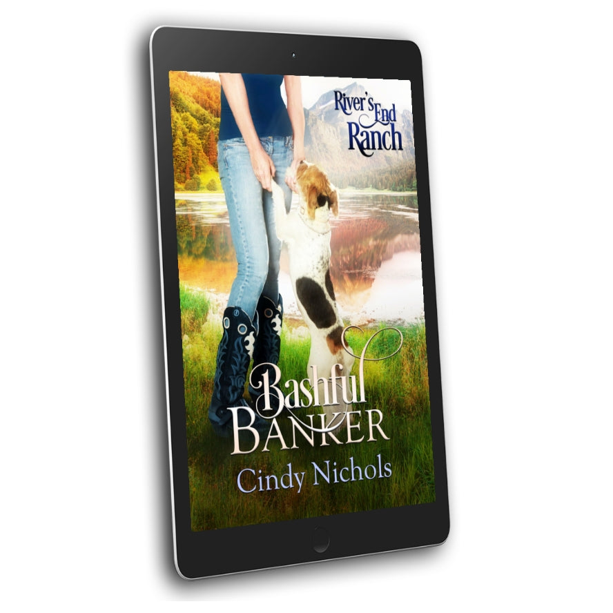 Bashful Banker, Book 6 (EBOOK)