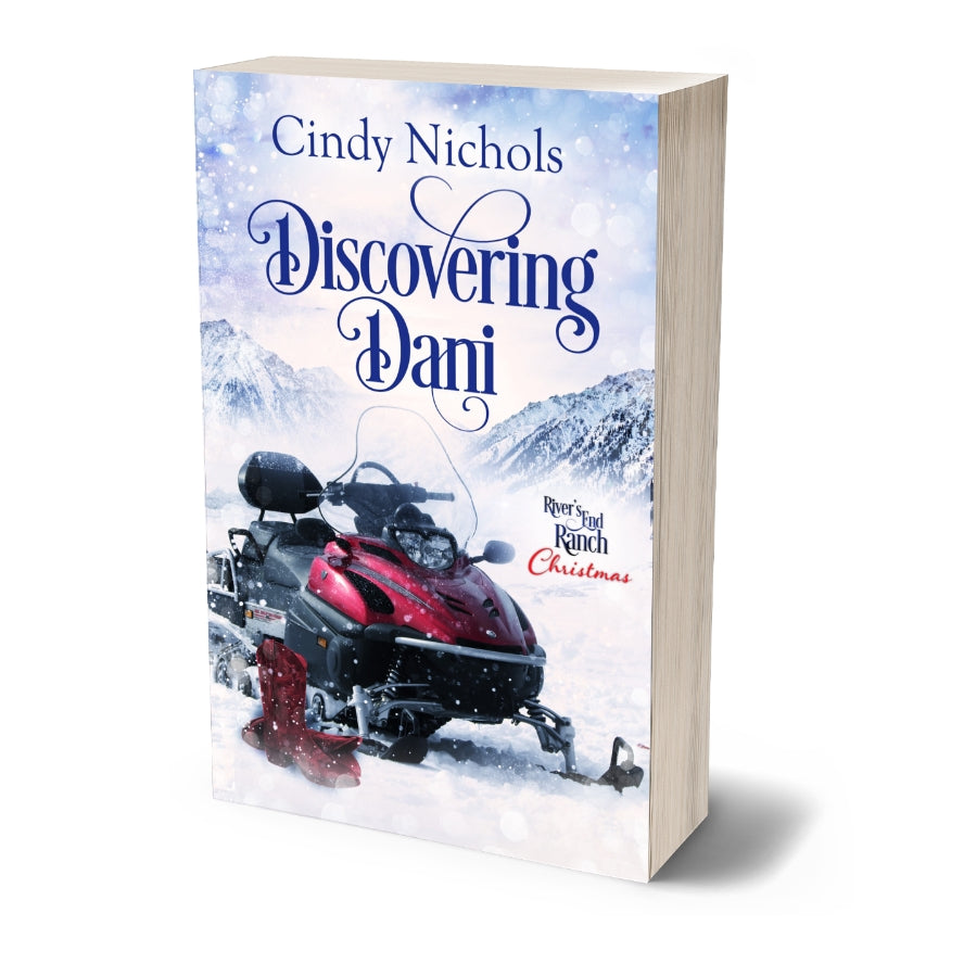 Discovering Dani, Book 4 (PAPERBACK)