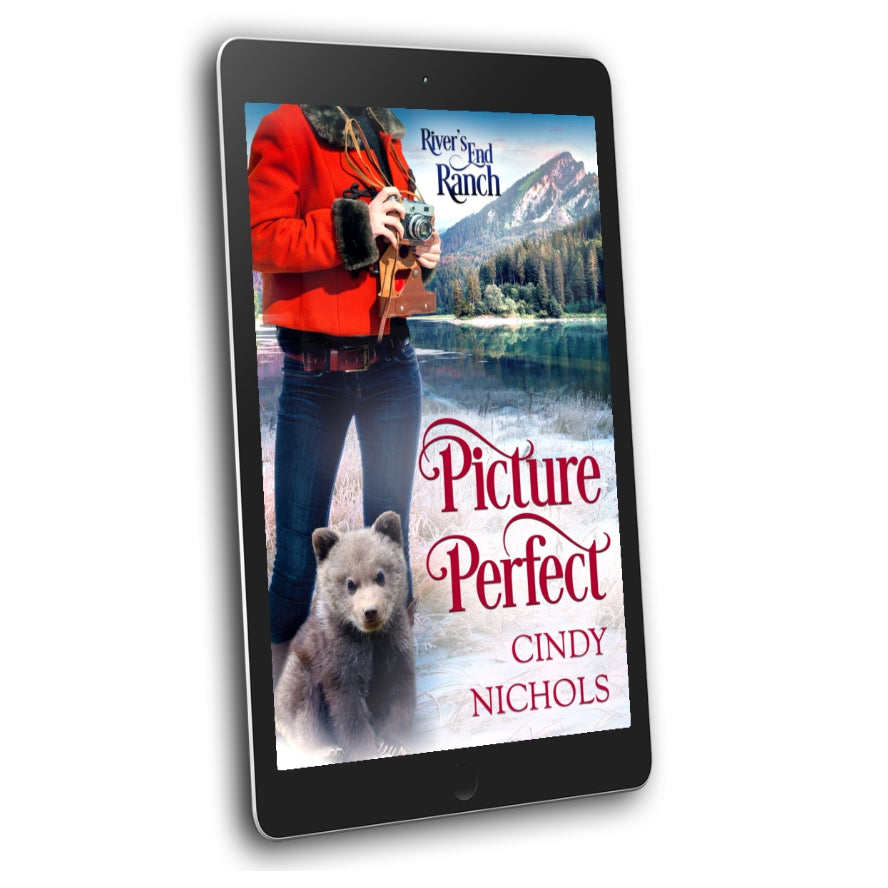 Picture Perfect , Book 8 (EBOOK)