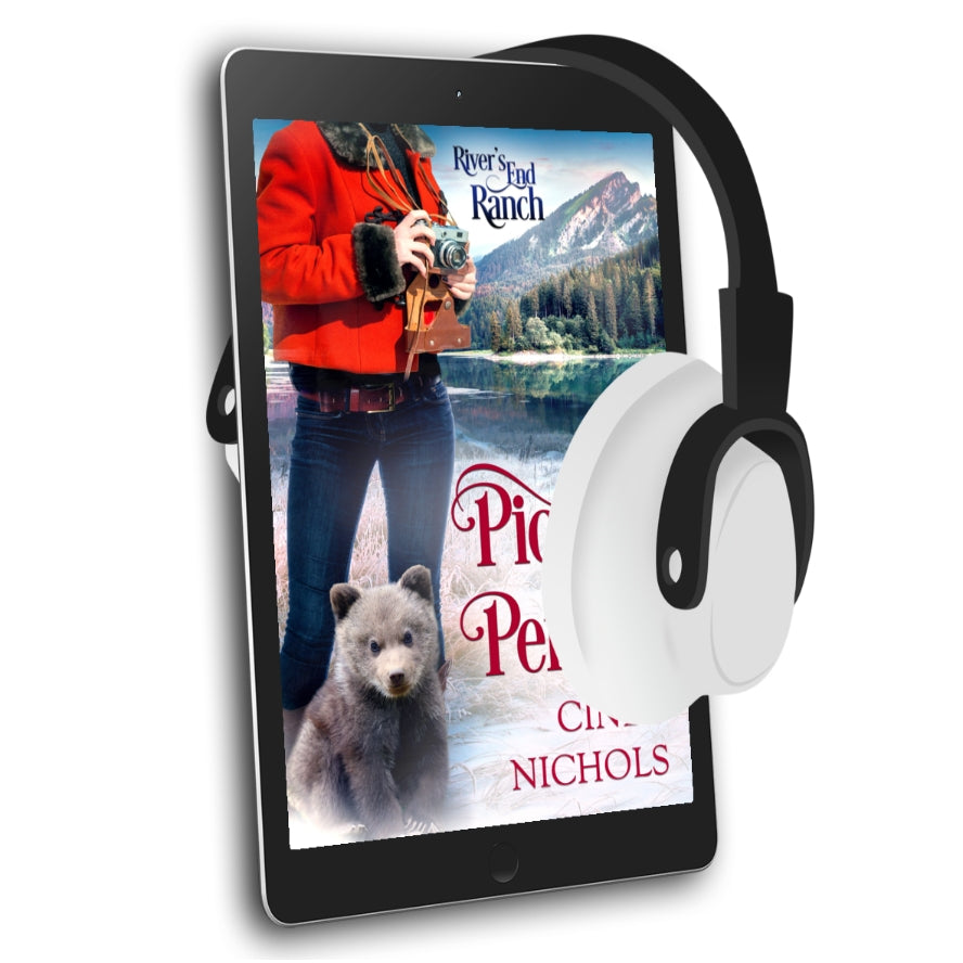 Picture Perfect, Book 8 (AUDIOBOOK)